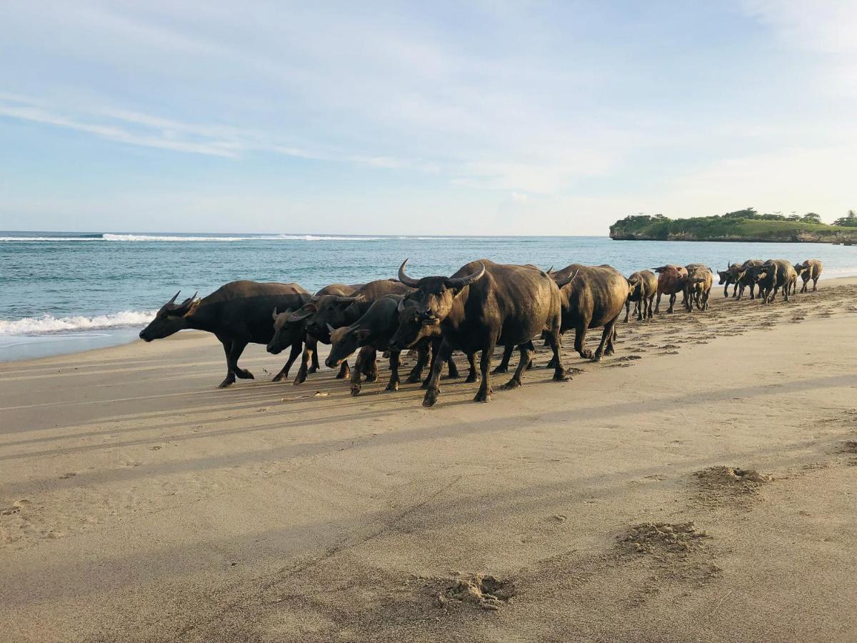 Sumba Beach House Вайкабубак Экстерьер фото